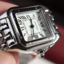 Cartier Panthère de Cartier WSPN0006 22 x 30mm Silver Dial Stainless Steel Ladies Watch ( Replica )